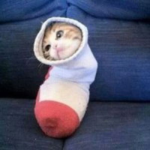 Prapapron Chunak profile icon