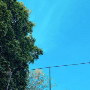 Hidayana profile icon