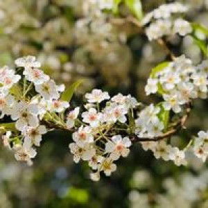 ยิ้มเข้าไว้ แล้วโชคดีจะมาหา profile icon