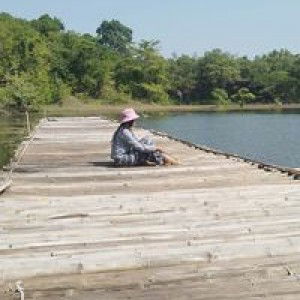 Oum Piyanan profile icon