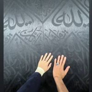 Ana Amaleena profile icon