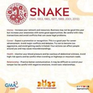 Jhenrey Delingon profile icon