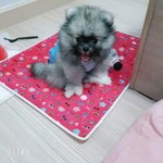 สุลิฉาย คณาจันทร์ profile icon