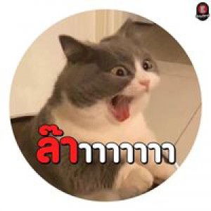 Kanokwan Chaemchuen profile icon