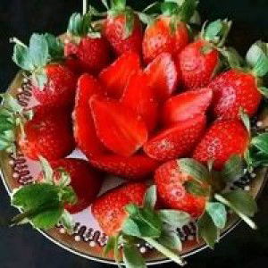 Dede Setiawan profile icon