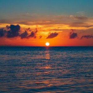 dina maryana profile icon