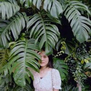 Nan Siri profile icon