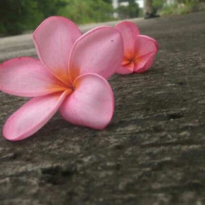 MikayLa channel profile icon