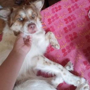 Marivic Balbontin profile icon