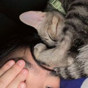 เปรี้ยวววววว ฯ. profile icon