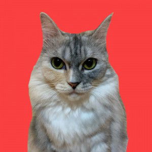 LaLexsa profile icon