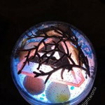 Tantri Nur Cahyani profile icon