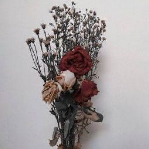 Lenny nora Erisdza profile icon