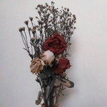 Lenny nora Erisdza profile icon