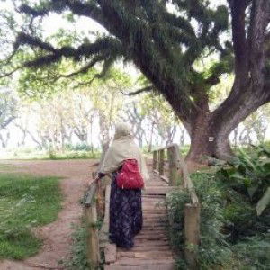 LusyaMariana Sukardi profile icon