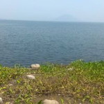 Ummu Ammar profile icon