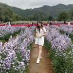 Kamontip Sumruey profile icon