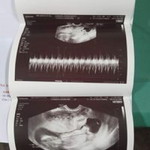 denise joyce profile icon