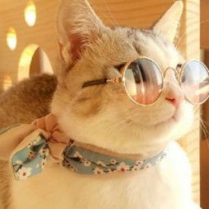 nur afni profile icon