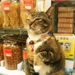 Pichaporn Sonthai profile icon