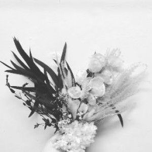 Mesa Suberta profile icon