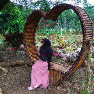 Alya Hasba profile icon