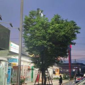 Som Chayanit profile icon