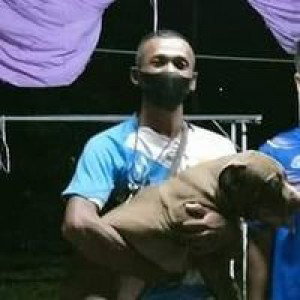 นายโบ อาโบ profile icon