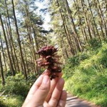 Zaenabil profile icon