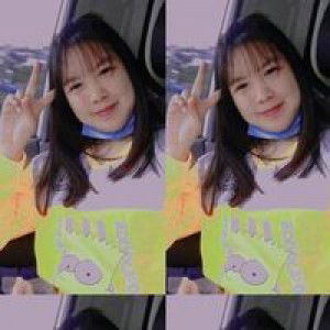 Ploy Ploy profile icon