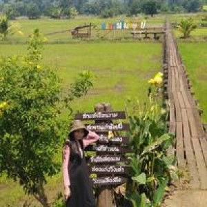 Jintana Suksanit profile icon