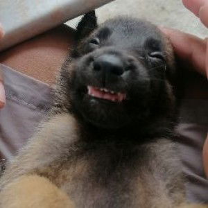 camille cenir profile icon