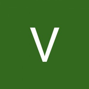 Veleea Siregar profile icon