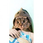 Makkala Phongsa profile icon