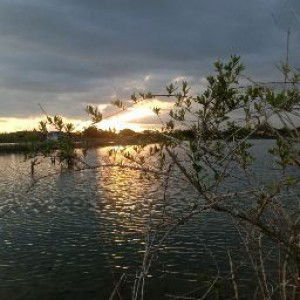 Rhoro Lamonte profile icon