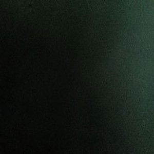 Fitri Fadillah Pakpahan profile icon