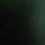 Fitri Fadillah Pakpahan profile icon