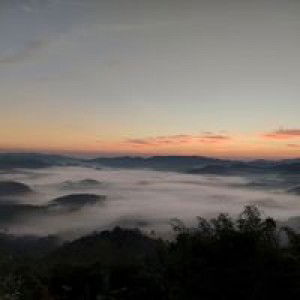 Minnie Min profile icon