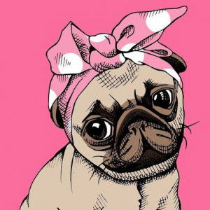 มนัญชยา ซึมไพศาล profile icon