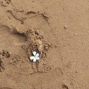 Adewia Maita Saputri profile icon