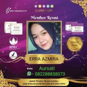 Erra Lubis profile icon