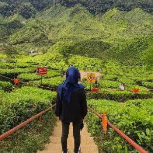 Nur Farida profile icon