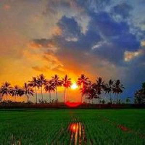 Ainun Mardiah profile icon