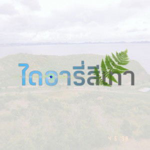 Tena Sasi profile icon