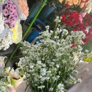 Indri Novitasari profile icon