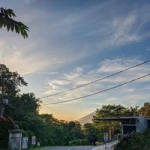 Nurul Annisa profile icon