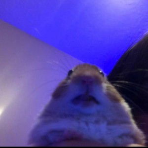 young mommy profile icon