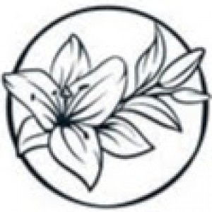 Kertas Lily profile icon