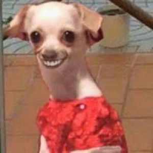 นิว'วว โนวแรนน'น profile icon