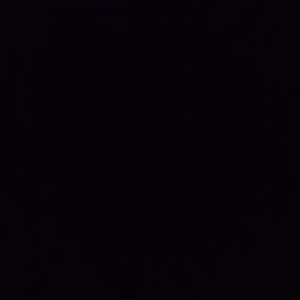 Palmy Palmy profile icon